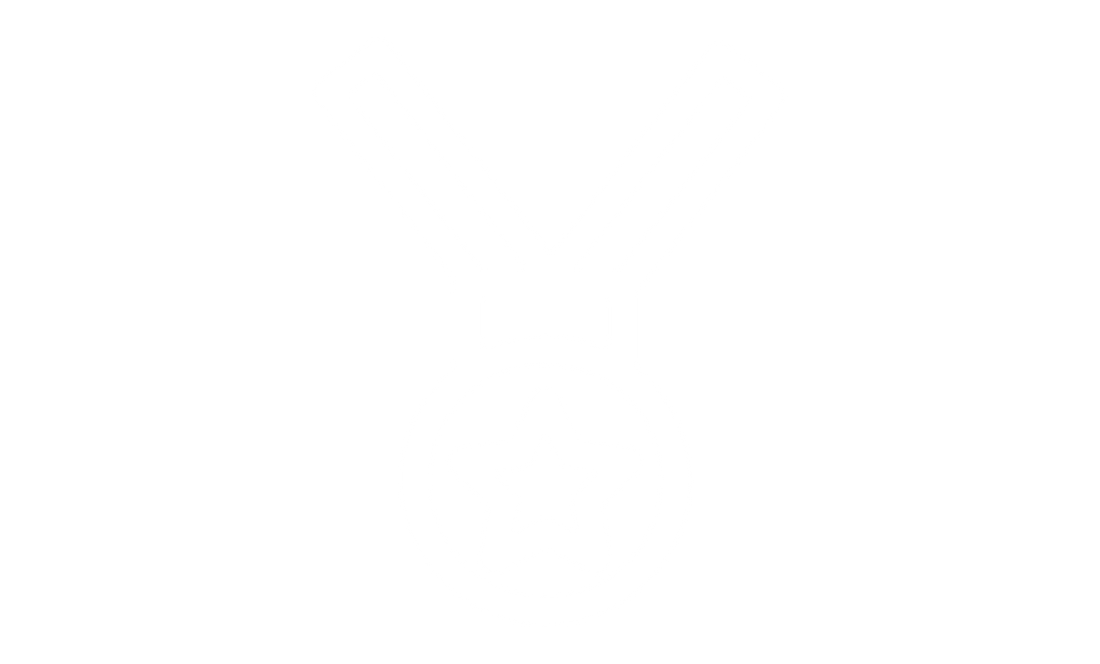 Medal-Ready Display